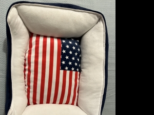 Secondary image for the American Flag Pet bed Auction Item