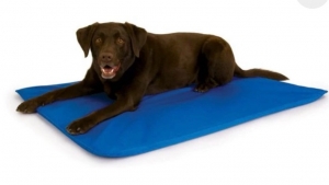 Primary image for the Cooling Pet Bed Auction Item