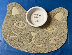Primary image for the Feline feeding mat with dish Auction Item