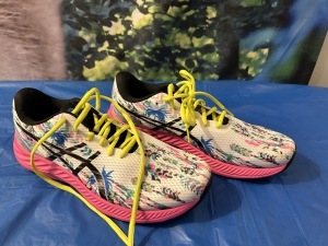 Primary image for the Asics Woman's Shoes Auction Item