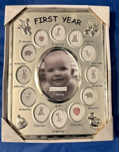 Primary image for the Baby's First Year Frames Auction Item