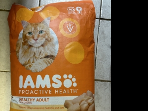 Primary image for the Iams Proactive Health Adult Cat Food Auction Item