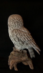 Secondary image for the Owl Statue Auction Item
