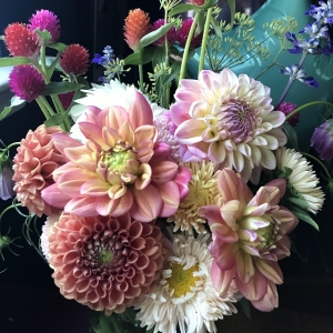Primary image for the How to Grow Dahlias Class & Bouquet Auction Item