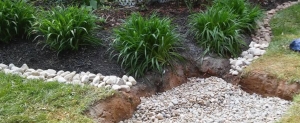 Secondary image for the Garden/Yard Cleanup Auction Item