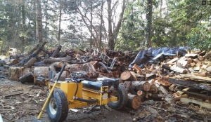 Secondary image for the Garden/Yard Cleanup Auction Item