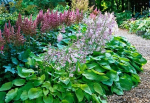 Secondary image for the Garden/Yard Cleanup Auction Item
