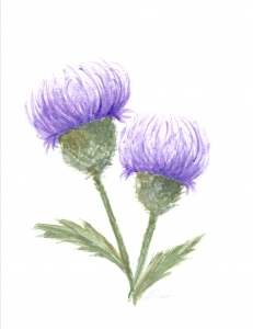 Primary image for the Commission a Watercolor Painting of your Favorite Flower Auction Item
