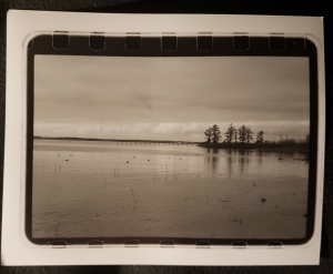 Primary image for the Silver Gelatin Darkroom Print 'Youngs Bay' by Felicity Green (8x10) Auction Item