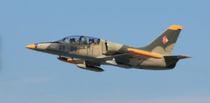 Primary image for the Take to the skies in the L-39 Fighter Jet  Auction Item