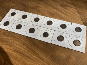Primary image for the Lot of 12 Indian Cents 1892-1909 Auction Item