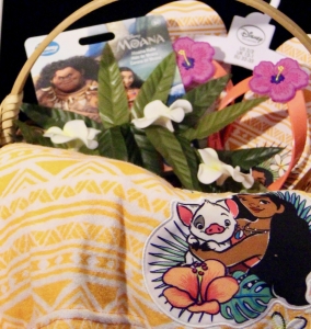 Secondary image for the Play the Role of Moana! Auction Item