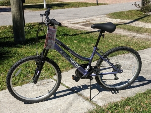 Primary image for the Bike Riding Fun with Huffy! Auction Item