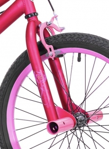 Secondary image for the Biking for Kids! Auction Item