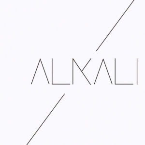 Primary image for the Alkali Hair Studio  Auction Item