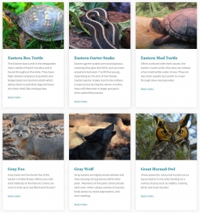Secondary image for the WNC Nature Center Auction Item