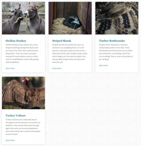 Secondary image for the WNC Nature Center Auction Item