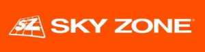 Primary image for the SkyZone Auction Item