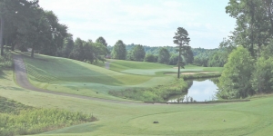 Secondary image for the Salem Glen Country Club Auction Item