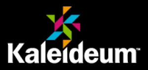 Primary image for the Kaleideum  Auction Item