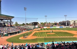 Secondary image for the Greensboro Grasshoppers Auction Item