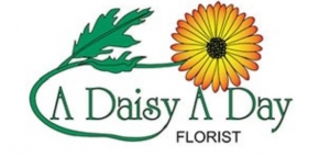 Primary image for the A Daisy A Day Auction Item