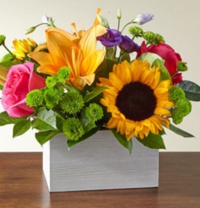 Secondary image for the A Daisy A Day Auction Item