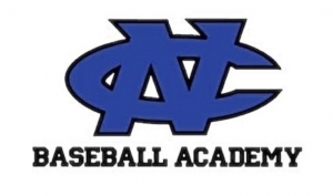 Primary image for the NC Baseball Academy Auction Item
