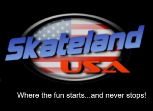 Primary image for the Skateland USA Auction Item
