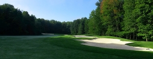 Primary image for the Foursome Gift Certificate for Radisson Greens Golf Course Auction Item