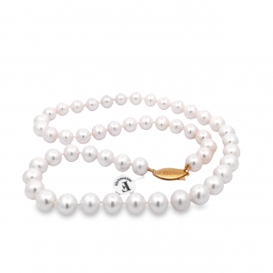Primary image for the Freshwater Pearl Necklace Auction Item