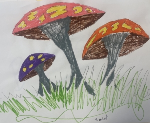 Primary image for the Mushrooms Auction Item