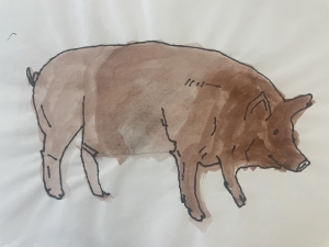 Primary image for the Piggy Auction Item