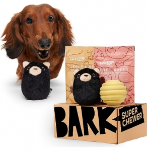 Primary image for the Bark Box Super Chewer Box Auction Item