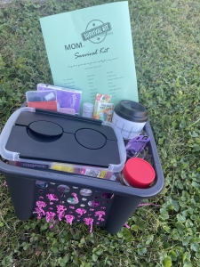 Primary image for the Mom Survival Kit Auction Item