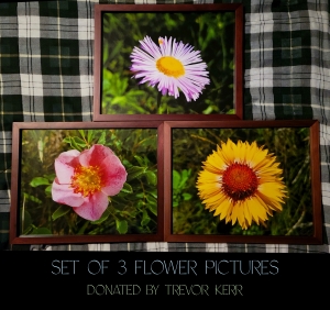 Primary image for the Set of 3 Flower Prints Auction Item