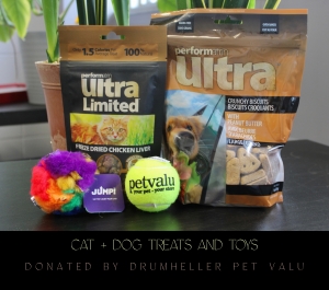 Primary image for the Cat & Dog Treats and Toys Auction Item