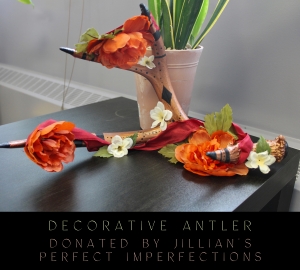 Primary image for the Decorative Antler Auction Item