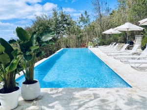 Primary image for the 4-Nights Puerto Rico stay at the English Rose B&B Auction Item