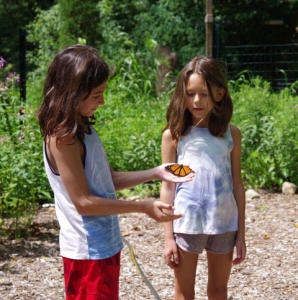 Primary image for the Meet Monarchs - Bondsville Mill Park’s gardens with a private Monarch butterfly release Auction Item