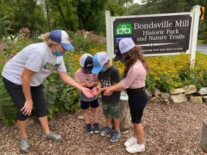 Secondary image for the Meet Monarchs - Bondsville Mill Park’s gardens with a private Monarch butterfly release Auction Item