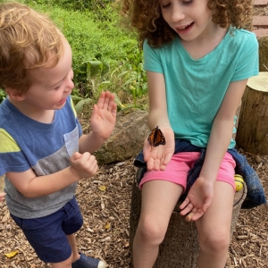 Secondary image for the Meet Monarchs - Bondsville Mill Park’s gardens with a private Monarch butterfly release Auction Item