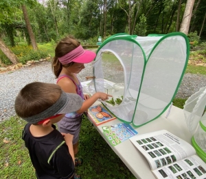 Secondary image for the Meet Monarchs - Bondsville Mill Park’s gardens with a private Monarch butterfly release Auction Item