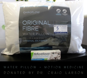 Primary image for the Water Pillow & Motion Medicine Auction Item
