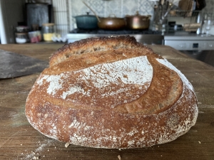 Primary image for the Sourdough Bread Making Class Auction Item