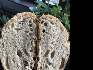 Secondary image for the Sourdough Bread Making Class Auction Item