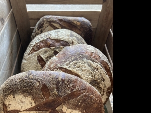 Secondary image for the Sourdough Bread Making Class Auction Item