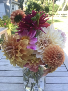 Secondary image for the How to Grow Dahlias Class & Bouquet Auction Item
