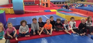 Primary image for the Gymnastics Birthday Party Auction Item