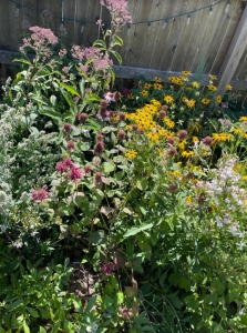Secondary image for the Pollinator Garden/Sidewalk Consulting Auction Item